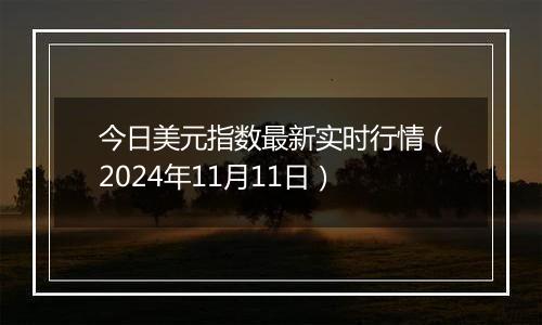 今日美元指数最新实时行情（2024年11月11日）