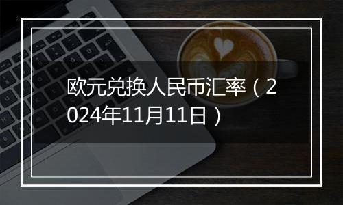 欧元兑换人民币汇率（2024年11月11日）