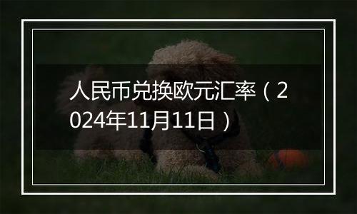 人民币兑换欧元汇率（2024年11月11日）