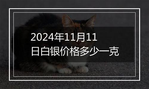 2024年11月11日白银价格多少一克