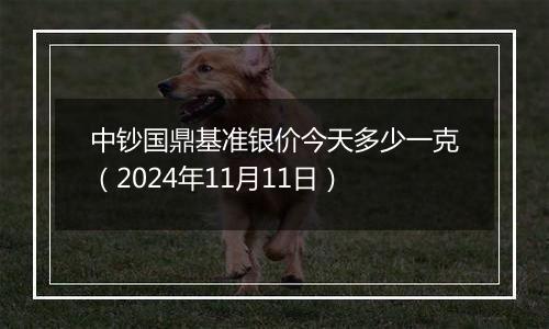 中钞国鼎基准银价今天多少一克（2024年11月11日）