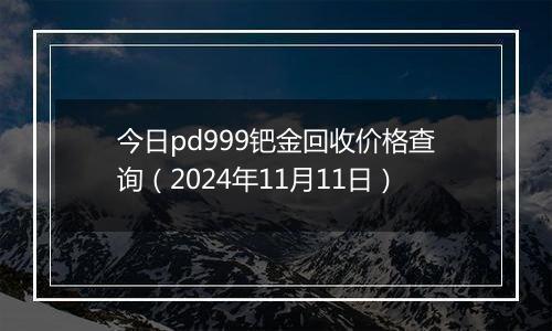 今日pd999钯金回收价格查询（2024年11月11日）