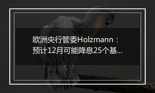 欧洲央行管委Holzmann：预计12月可能降息25个基点