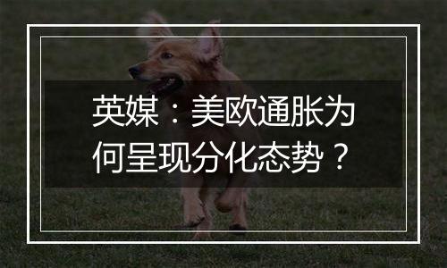 英媒：美欧通胀为何呈现分化态势？