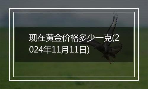 现在黄金价格多少一克(2024年11月11日)