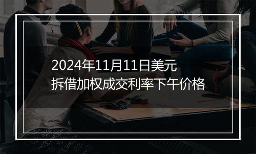 2024年11月11日美元拆借加权成交利率下午价格