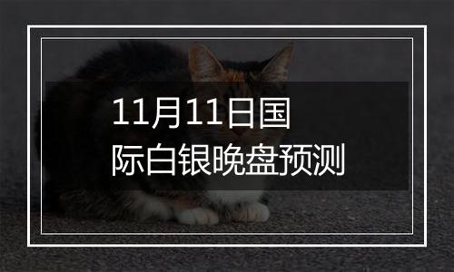 11月11日国际白银晚盘预测