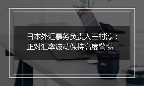 日本外汇事务负责人三村淳：正对汇率波动保持高度警惕