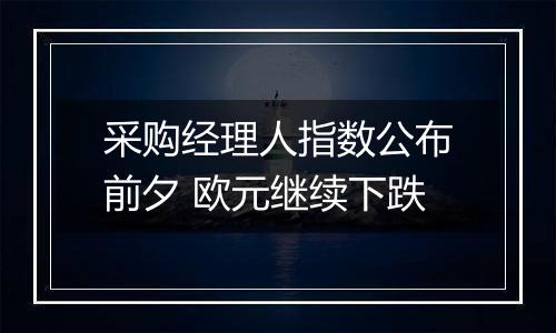 采购经理人指数公布前夕 欧元继续下跌