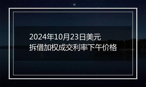 2024年10月23日美元拆借加权成交利率下午价格