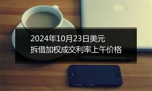 2024年10月23日美元拆借加权成交利率上午价格