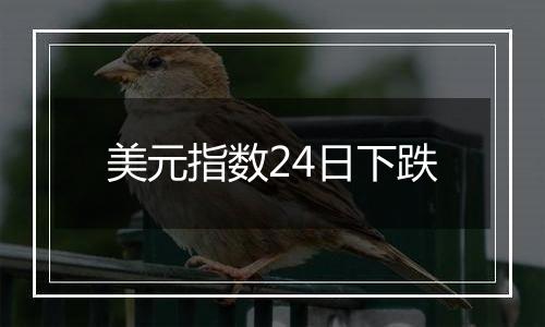 美元指数24日下跌