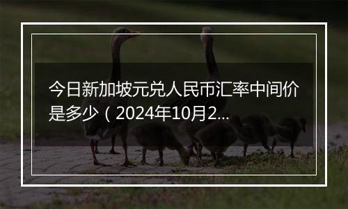 今日新加坡元兑人民币汇率中间价是多少（2024年10月23日）