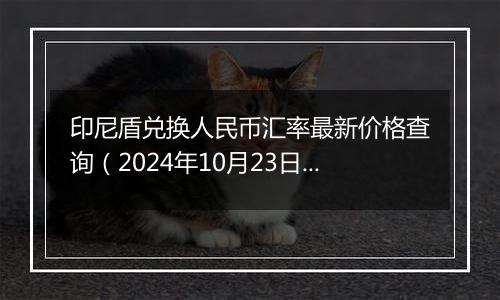 印尼盾兑换人民币汇率最新价格查询（2024年10月23日）