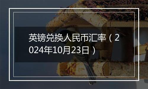 英镑兑换人民币汇率（2024年10月23日）