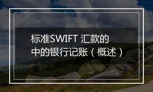 标准SWIFT 汇款的中的银行记账（概述）