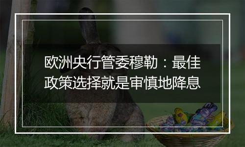 欧洲央行管委穆勒：最佳政策选择就是审慎地降息