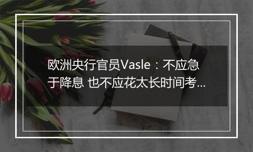 欧洲央行官员Vasle：不应急于降息 也不应花太长时间考虑降息幅度