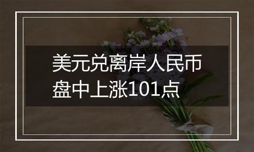 美元兑离岸人民币盘中上涨101点