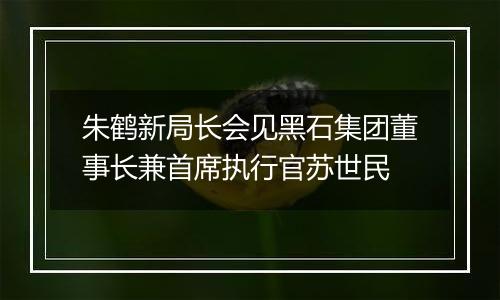 朱鹤新局长会见黑石集团董事长兼首席执行官苏世民