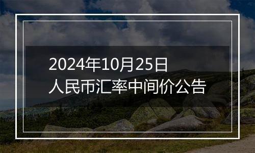 2024年10月25日人民币汇率中间价公告