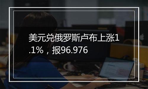 美元兑俄罗斯卢布上涨1.1%，报96.976