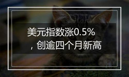 美元指数涨0.5%，创逾四个月新高