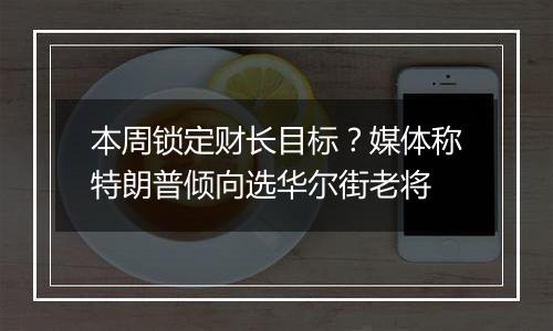 本周锁定财长目标？媒体称特朗普倾向选华尔街老将