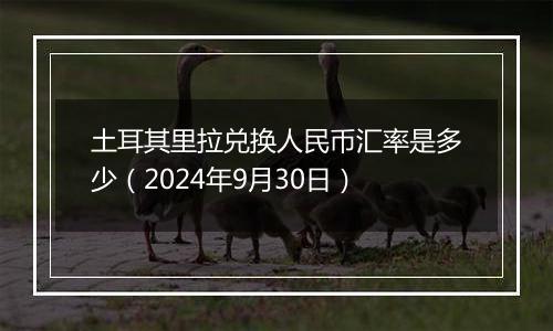 土耳其里拉兑换人民币汇率是多少（2024年9月30日）