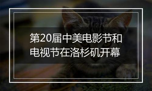 第20届中美电影节和电视节在洛杉矶开幕