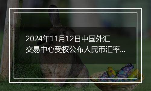 2024年11月12日中国外汇交易中心受权公布人民币汇率中间价公告