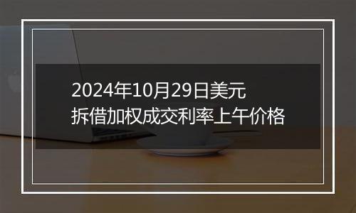 2024年10月29日美元拆借加权成交利率上午价格