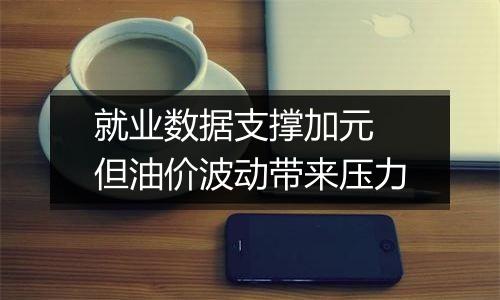 就业数据支撑加元 但油价波动带来压力