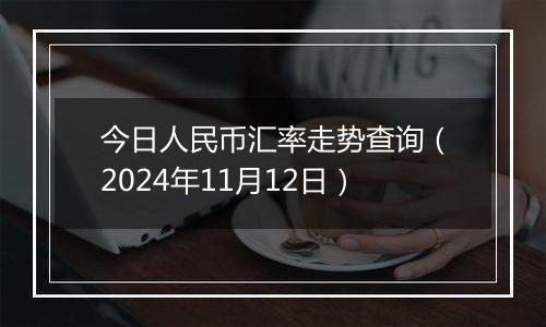 今日人民币汇率走势查询（2024年11月12日）