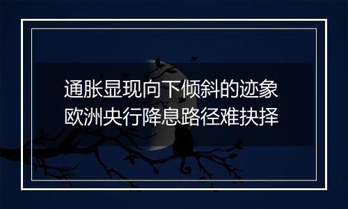 通胀显现向下倾斜的迹象 欧洲央行降息路径难抉择