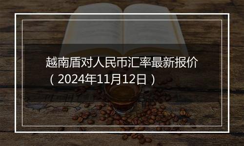 越南盾对人民币汇率最新报价（2024年11月12日）