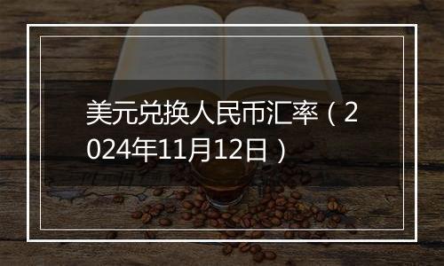 美元兑换人民币汇率（2024年11月12日）