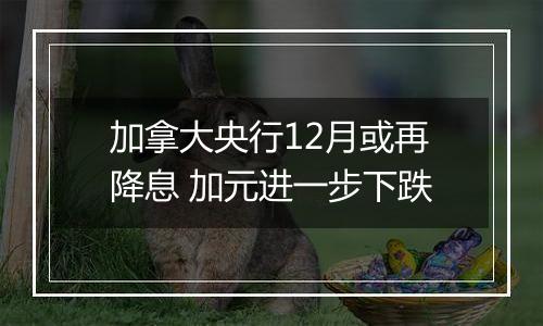 加拿大央行12月或再降息 加元进一步下跌