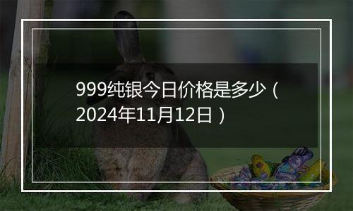 999纯银今日价格是多少（2024年11月12日）