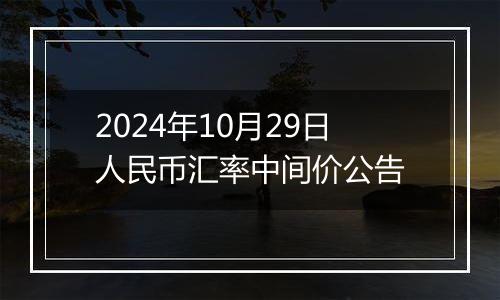 2024年10月29日人民币汇率中间价公告