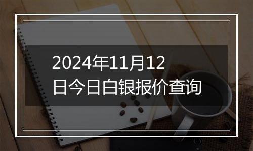 2024年11月12日今日白银报价查询