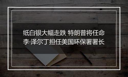 纸白银大幅走跌 特朗普将任命李·泽尔丁担任美国环保署署长