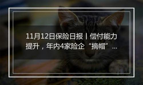 11月12日保险日报丨偿付能力提升，年内4家险企“摘帽”！“1+3”限制取消半年，万亿元银保渠道重塑！