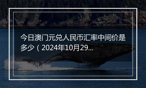 今日澳门元兑人民币汇率中间价是多少（2024年10月29日）