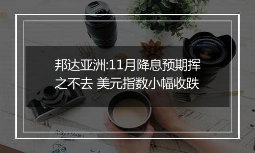 邦达亚洲:11月降息预期挥之不去 美元指数小幅收跌