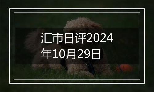 汇市日评2024年10月29日