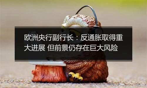 欧洲央行副行长：反通胀取得重大进展 但前景仍存在巨大风险