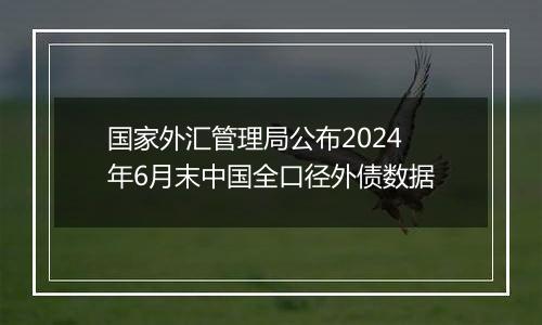 国家外汇管理局公布2024年6月末中国全口径外债数据