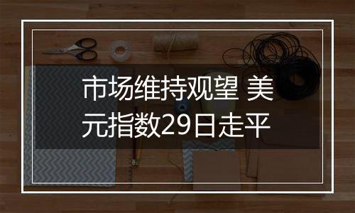 市场维持观望 美元指数29日走平