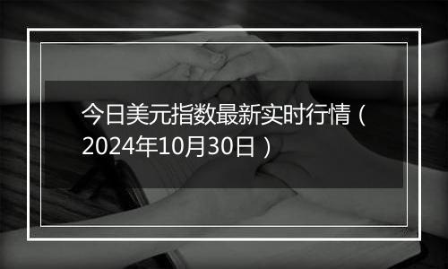 今日美元指数最新实时行情（2024年10月30日）